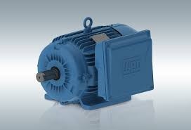 [WEG0023] Motor Monofásico 1 Hp 2 Polos Brida "C" Ecogree  14924350